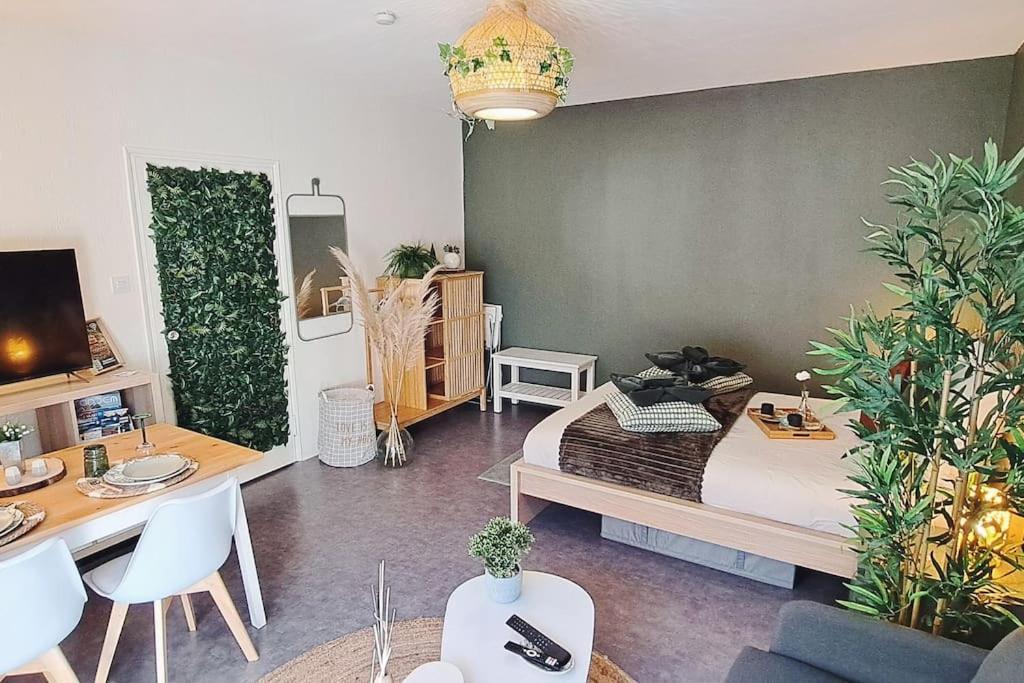 Petit Cocon Nature Centre-Ville Κολμάρ Εξωτερικό φωτογραφία